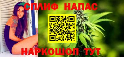 сатива Бузулук