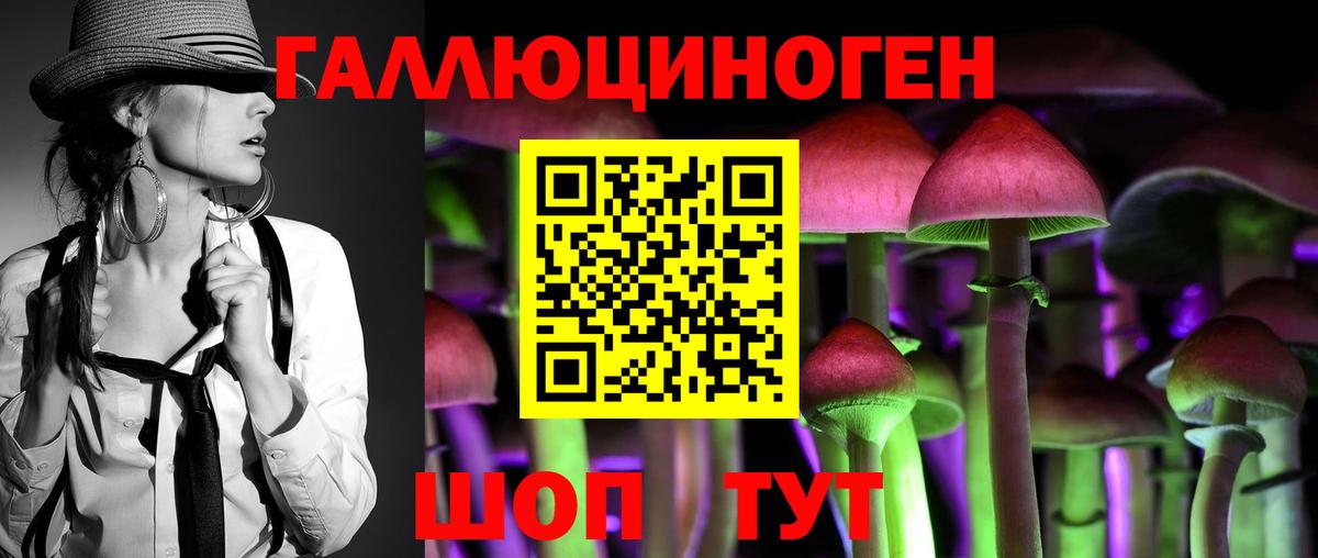 Псилоцибиновые грибы GOLDEN TEACHER  Вход с VPN  купить   Краснознаменск  Галлюциногенные грибы мухоморы 